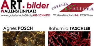 FOTO-AUSSTELLUNG „AUS-SCHNITTE“