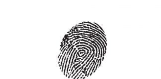 KOMMEN SIE DEN PROFEILERN AUF DIE SPUR!