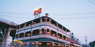 Beim Kakerlaken-Rennen am Australia Day krabbeln Schaben für einen guten Zweck