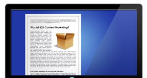Whitepaper: Einführung in B2B Content Marketing
