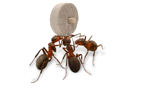 287f92da-a584-4a42-be6b-cf9088912645