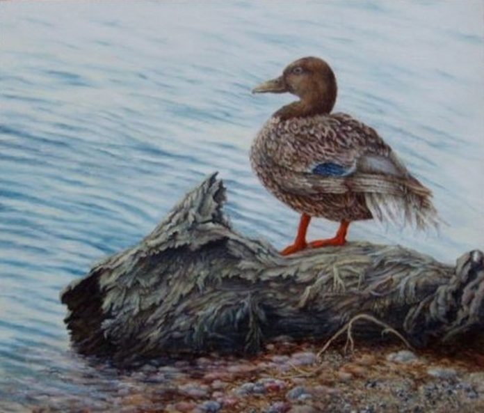 2cf52b36-90b9-4d5b-9c2b-37b6676bf0b9