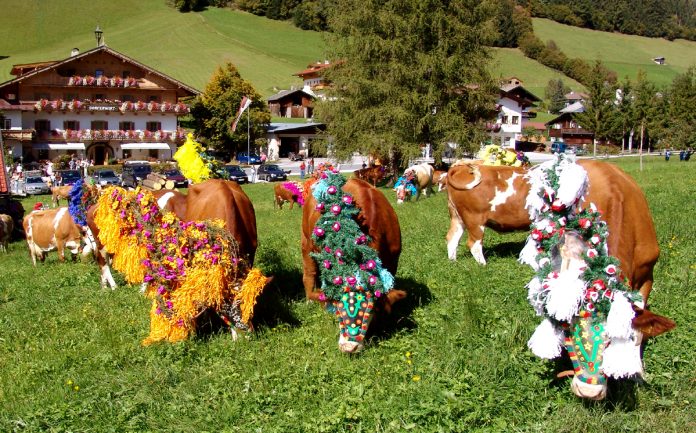 87e246e2-60e2-499f-9eb5-9d23dc91cacc