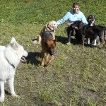 Welpenerziehung mit Hundesitterin Martina Kroh