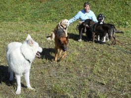 Welpenerziehung mit Hundesitterin Martina Kroh