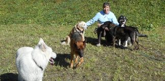 Welpenerziehung mit Hundesitterin Martina Kroh