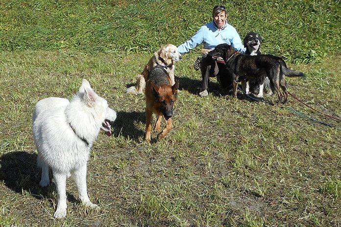 Welpenerziehung mit Hundesitterin Martina Kroh