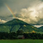 Bewusst Oase sein - Titelbild