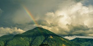 Bewusst Oase sein - Titelbild