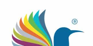 iTransform: Das Programm zur Persönlichkeitsbildung