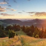 „Die Natur wird uns ein guter Lehrer sein.“ André Lorino