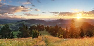 „Die Natur wird uns ein guter Lehrer sein.“ André Lorino