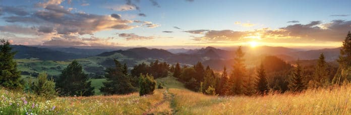 „Die Natur wird uns ein guter Lehrer sein.“ André Lorino