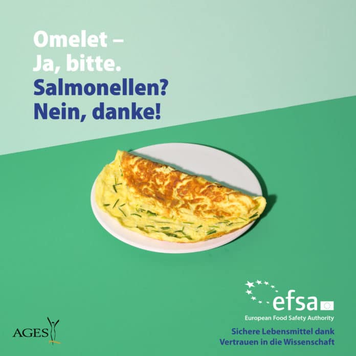 Die richtige Lebensmittelzubereitung schützt vor Salmonellen (c) EFSA